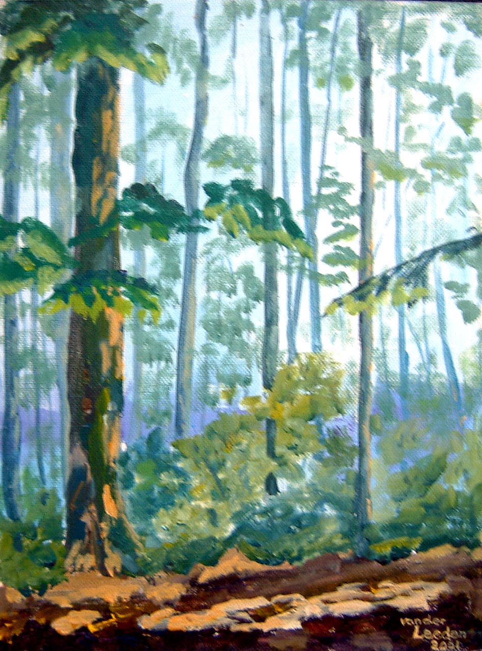 Rathtrevor Park A/B 12x9, 2000 (NFS)