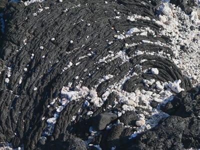 Lava #6