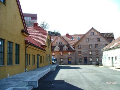 Slaktehuset i Bergen&Miljbevegelsens hus-Oddekalv