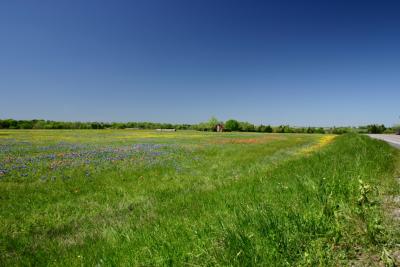 Colorful Landscape along Texas Hwy 50