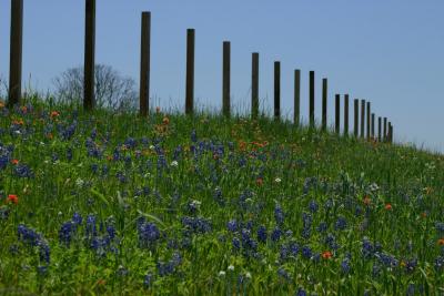 New fence to complement the landscape