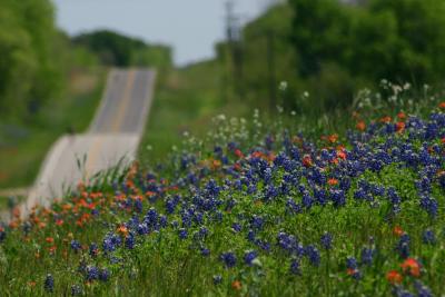 Roadside Display 1