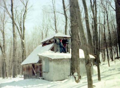 Sortie cabane  sucre...Sec II