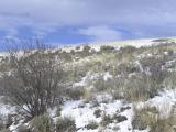 sagebrush hillside in winter P1010005.jpg
