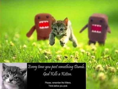KITTEH2.JPG