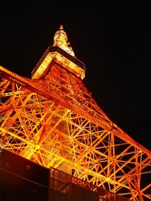 Tokyo Tower Fʶ (31-12-2004)