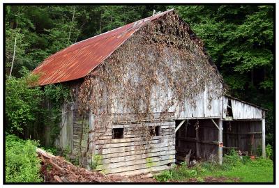 Barns & Bridges