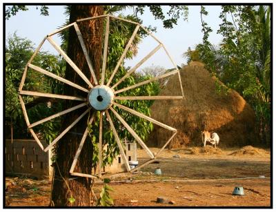 Cambodian Farm