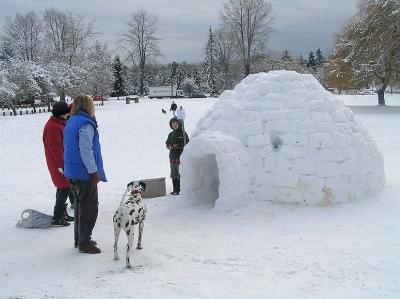 Snow Day (Jan 9, 2005)