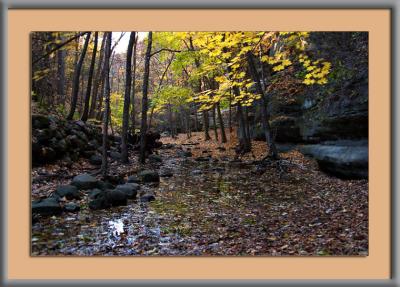Dells Area Near Cedar Point