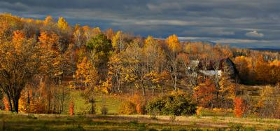 Autumn Delight