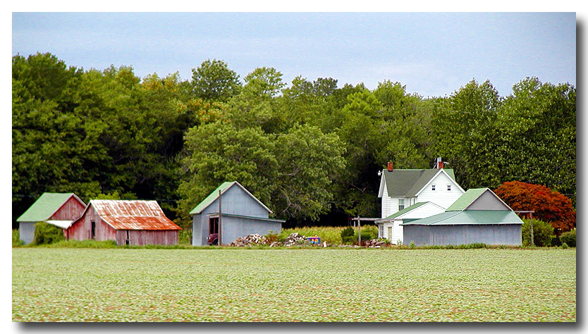 Rural Beauty