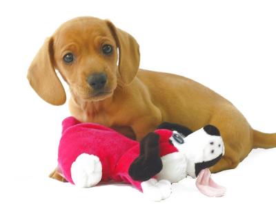 Opie with toy