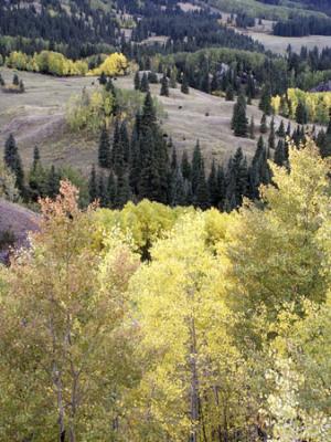 PICT0936.jpg