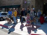 Greyhound Pets of America -  Central Texas Meet and Greet