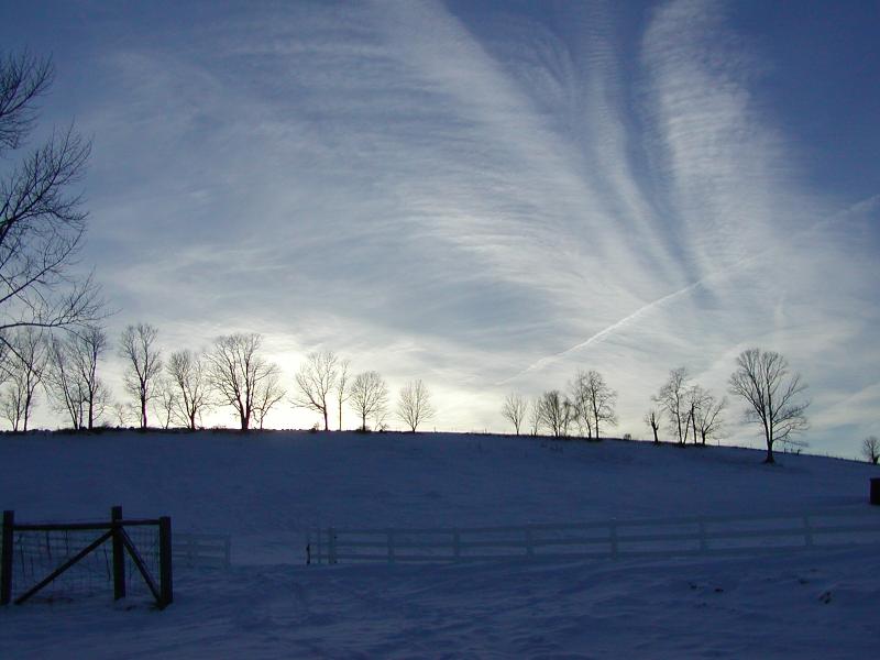 Horseback Hill in Storrs