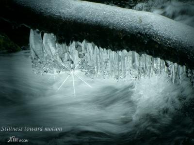 Stillness and motion