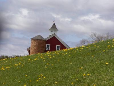 Horseback Hill in Storrs