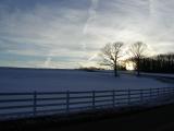 Horseback Hill in Storrs