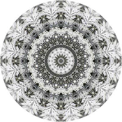 u13/xl1ken/medium/38640472.Kaleidoscopes2k009.jpg