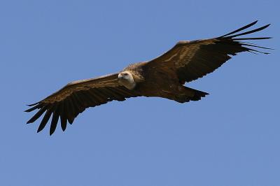 IMG_7839.JPG