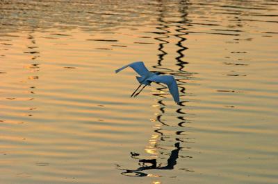 IMG_8372.JPG
