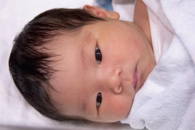 CRW_6379.jpg