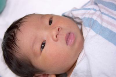 CRW_6381.jpg