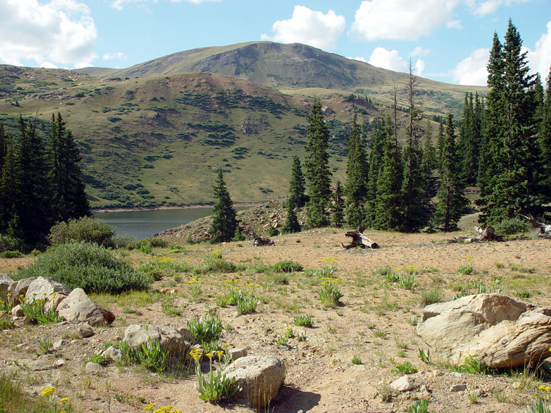 Downside of Guanella Pass