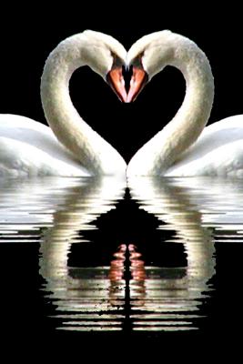 P7235938e_4x6fcardlove.jpg