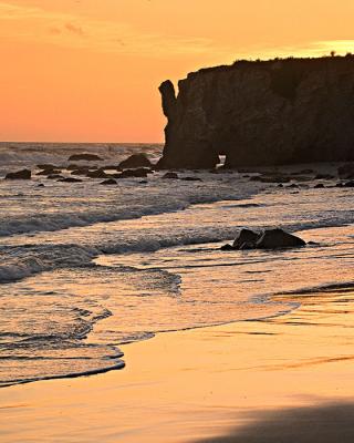 California Beach Sunset