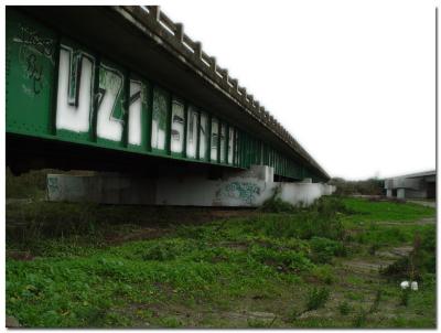 u13/zensimple/medium/38613303.salinasriver03.jpg