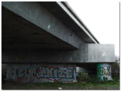 u13/zensimple/medium/38613311.salinasriver010.jpg