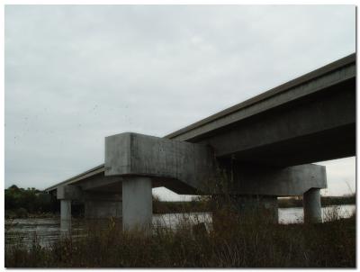 The Salinas River