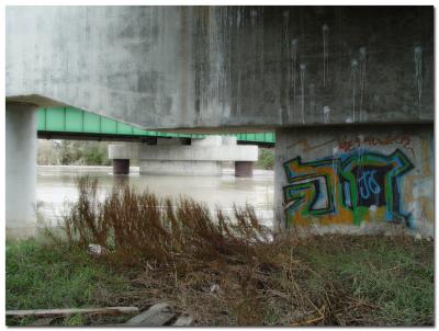 u13/zensimple/medium/38613313.salinasriver012.jpg