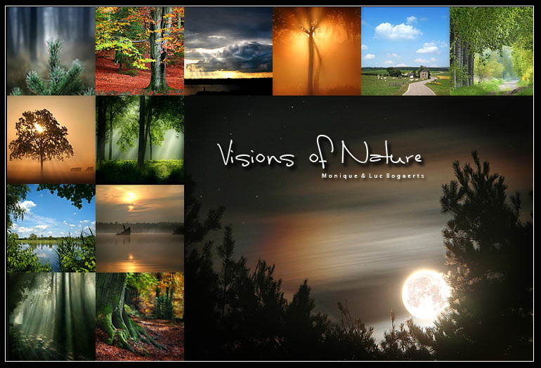 Visions Of Nature logo