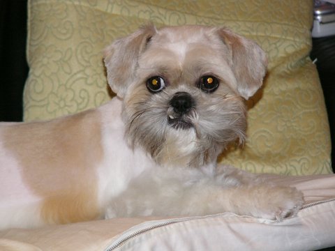 After Hair Cut
