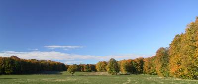 Nottawasaga Bluffs