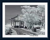 Pavillion