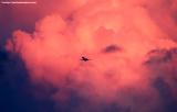 MD80 takeoff sunset aviation cloud stock photo