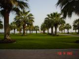 Doha , 14 .jpg