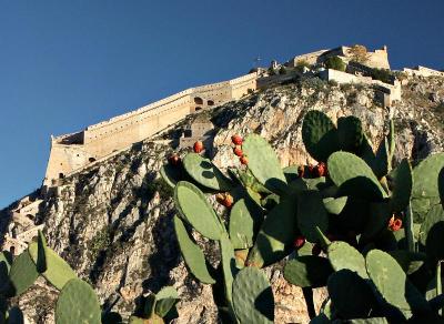 Nafplio - Palamidi Fortress and prickly pear