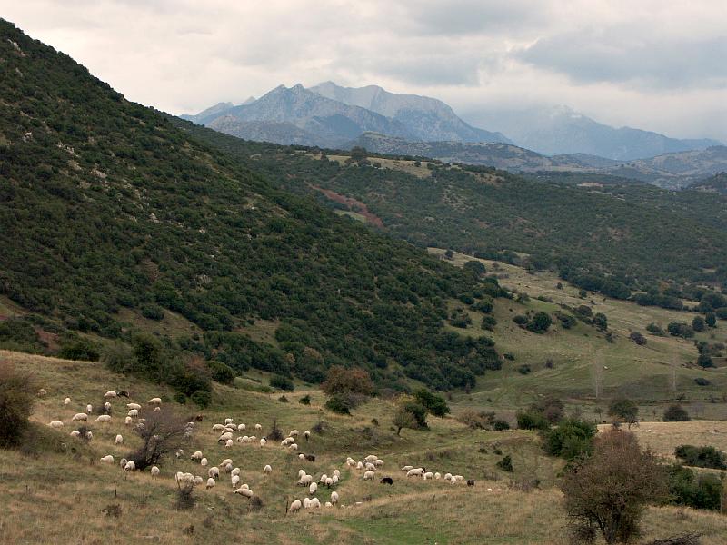 Near Kalavryta