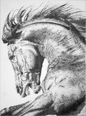 Horse - Stipple in Ink