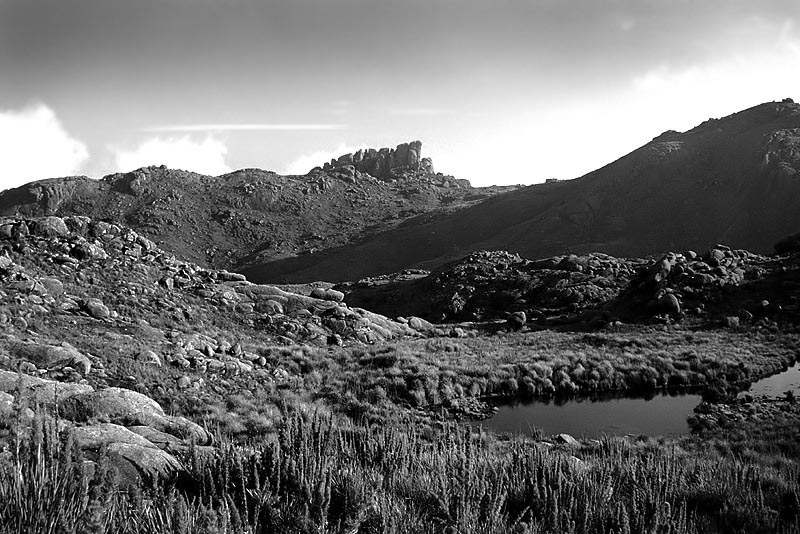 Image34bw_filtered.jpg