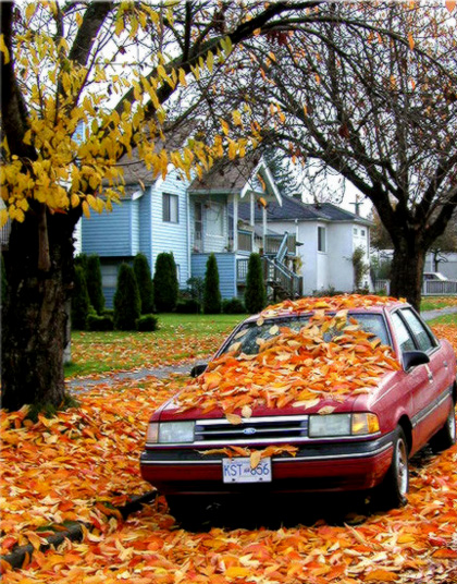 Autumn, Vancouver, Canada, 2003