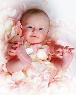 u14/angie_shaffer/medium/38680487.Avery55668x10cc.jpg