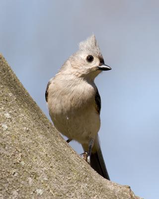 u14/annedave/medium/41871857.IMG_8214compressed.jpg