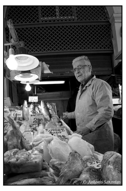 8 Apr 2005 Portrait in the fish market