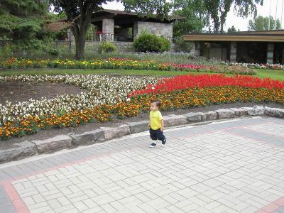 This is the place for me! Lotsa place to walk!